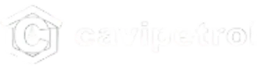 Logo Cavipetrol